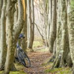 vélo dans une forêt