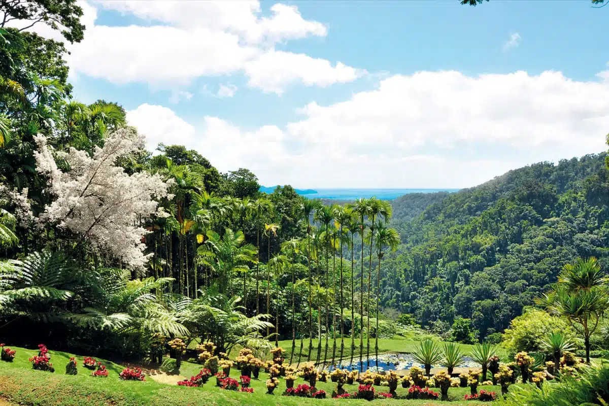 Fort-de-France, capitale de la Martinique entre culture et paysages exotiques